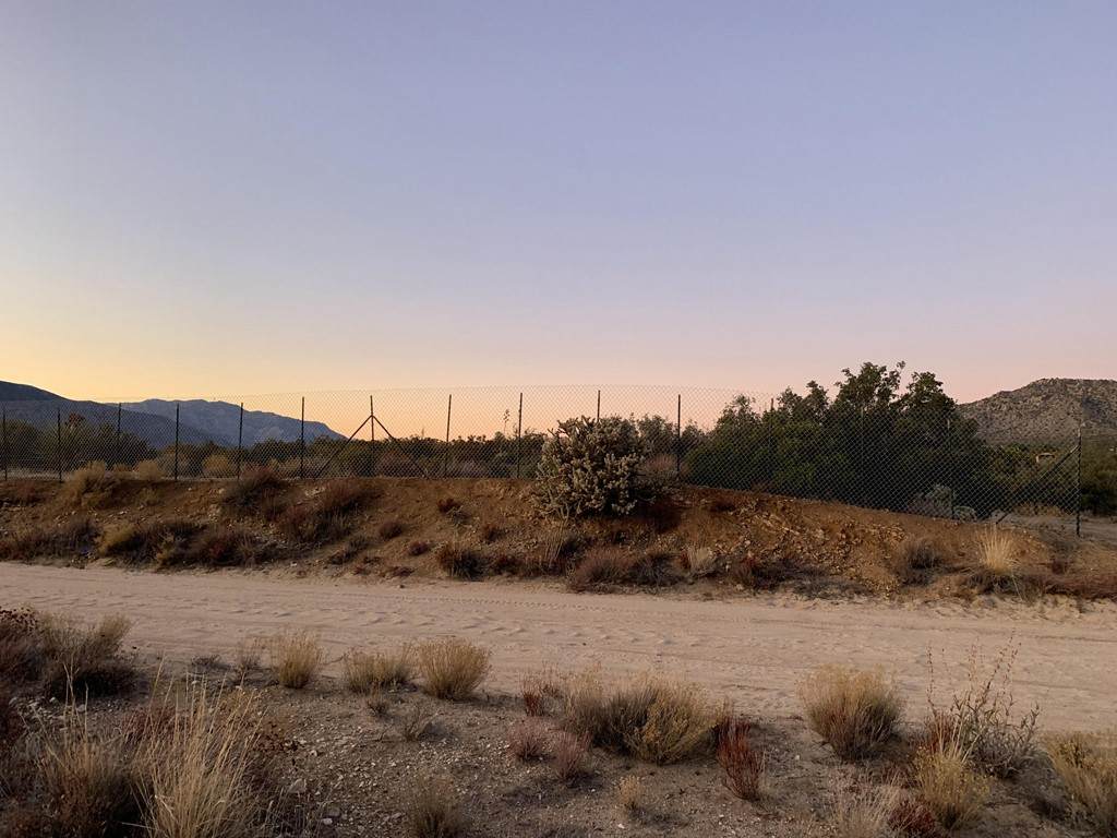 0 Pinesmoke Rd Road - Photo 1