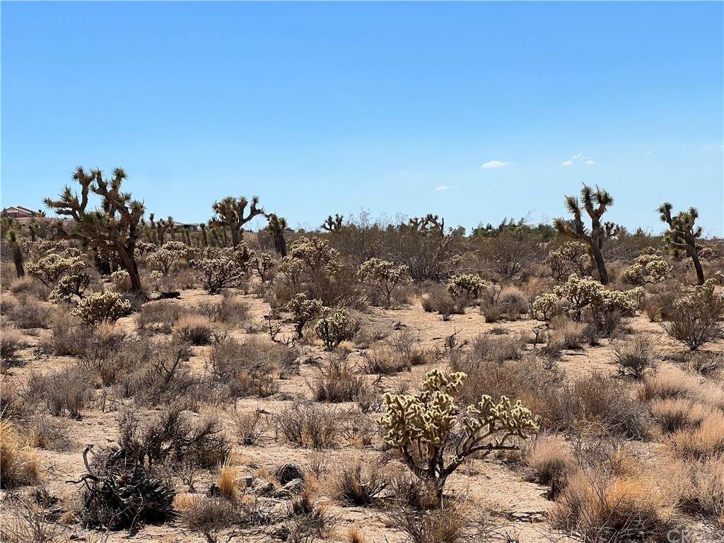 1 Luna Mountain Road - Photo 1