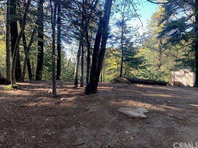 0 Canyon Drive - Photo 1
