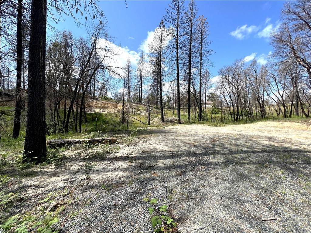 2167 Bald Rock Road - Photo 1