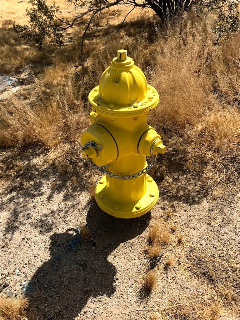 7235 Apache Trail - Photo 1