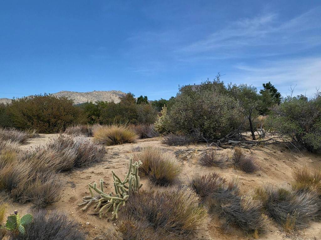 0 Pinesmoke Road - Photo 1