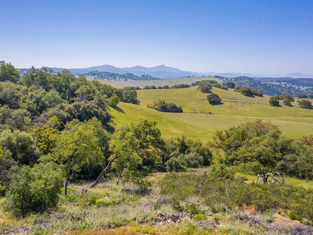 25235 B Mesa Grande Road - Photo 1