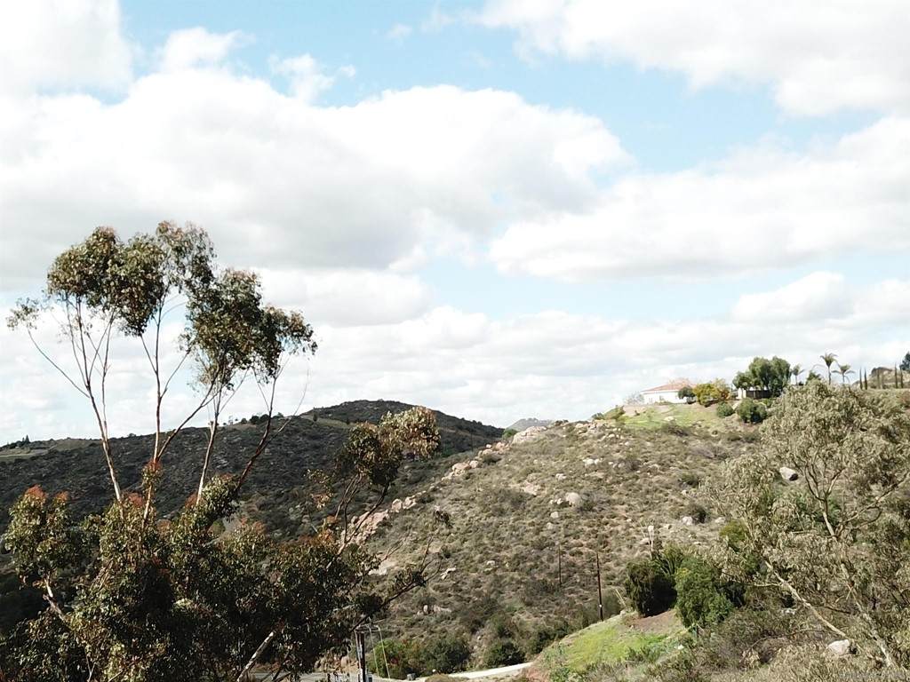 13790 Jamul Drive - Photo 1