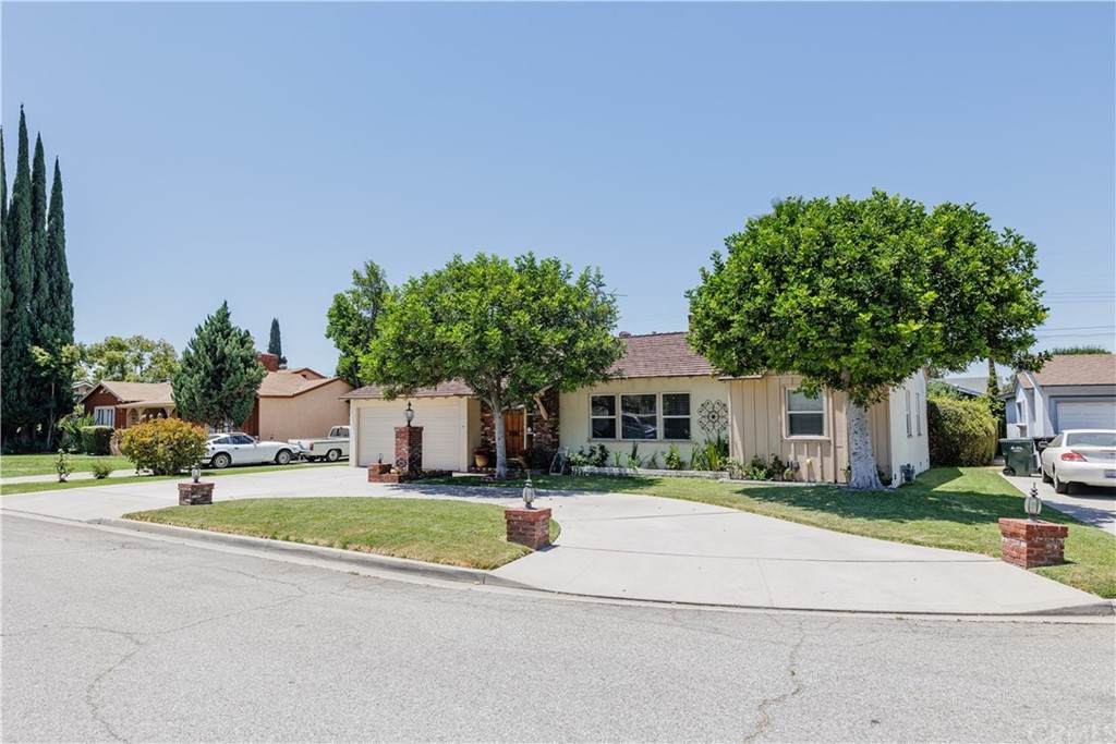915 Blue Drive - Photo 1