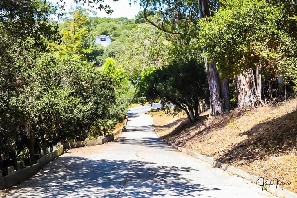 18156 Berta Canyon Road - Photo 1
