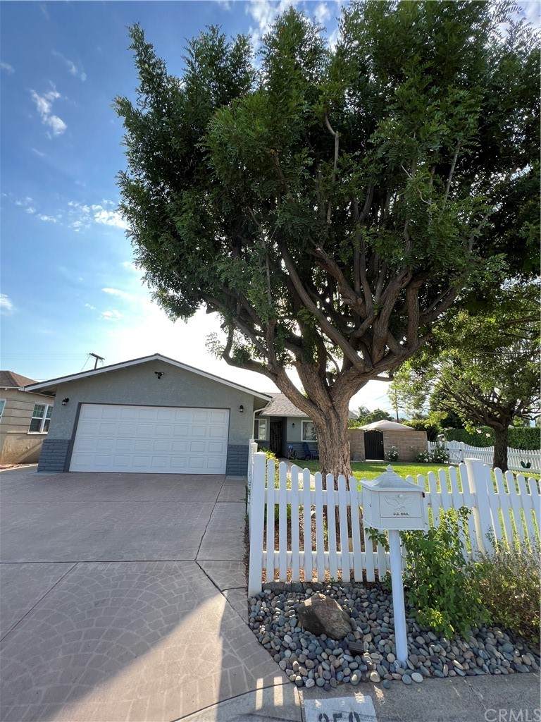 250 Magnolia Avenue - Photo 1
