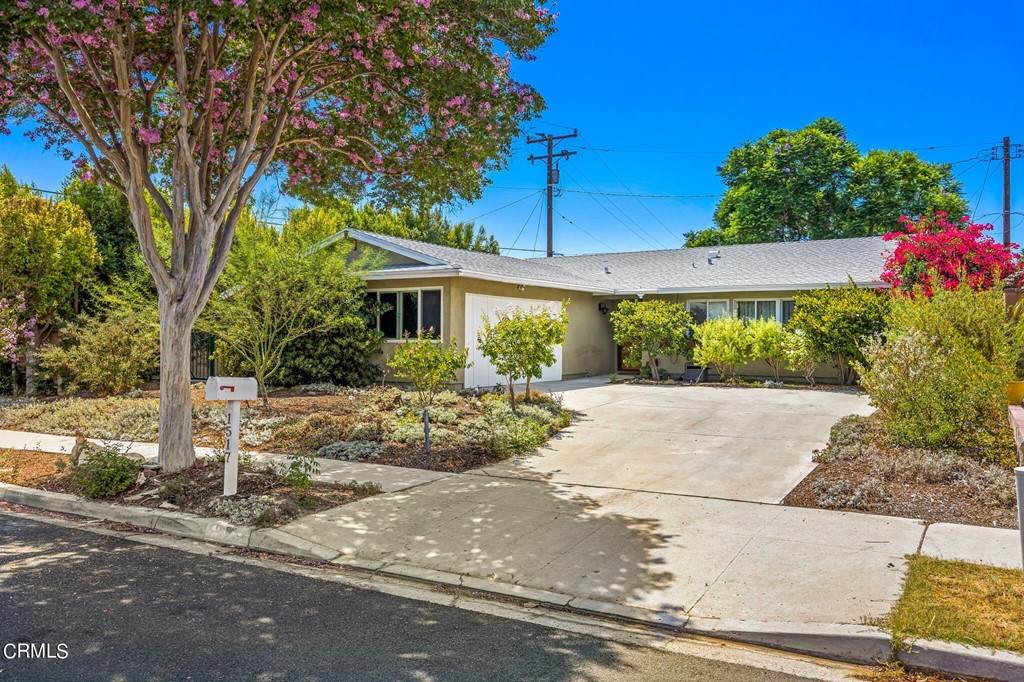 1517 Ysrella Avenue - Photo 1
