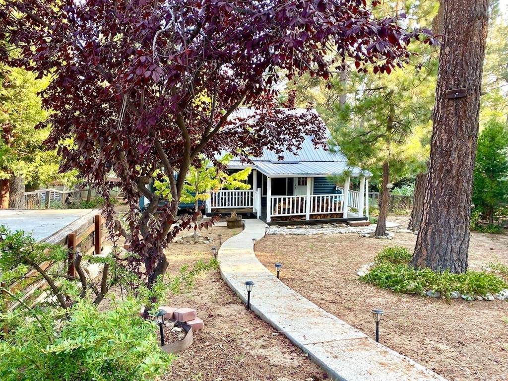 54445 Live Oak - Photo 1