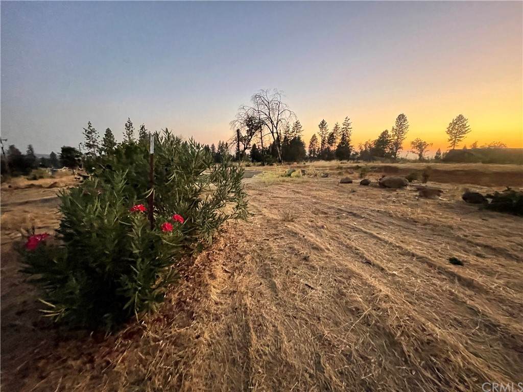 5389 Pentz Road - Photo 1