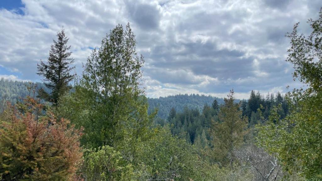 373 Shadow Mountain Road - Photo 1