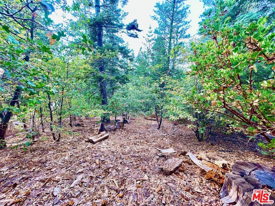 0 Grass Valley Road - Photo 1