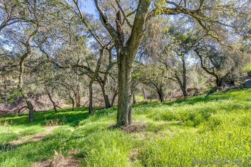 0 Via Viejas Oeste, Alpine, Ca, Usa - Photo 1