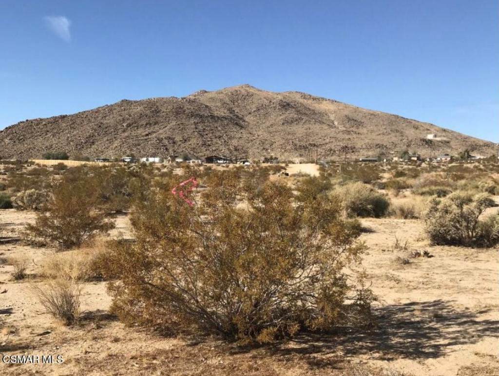 999 Avenida Del Sol - Photo 1