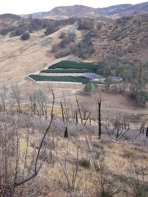 26936 Jerusalem Grade - Photo 1