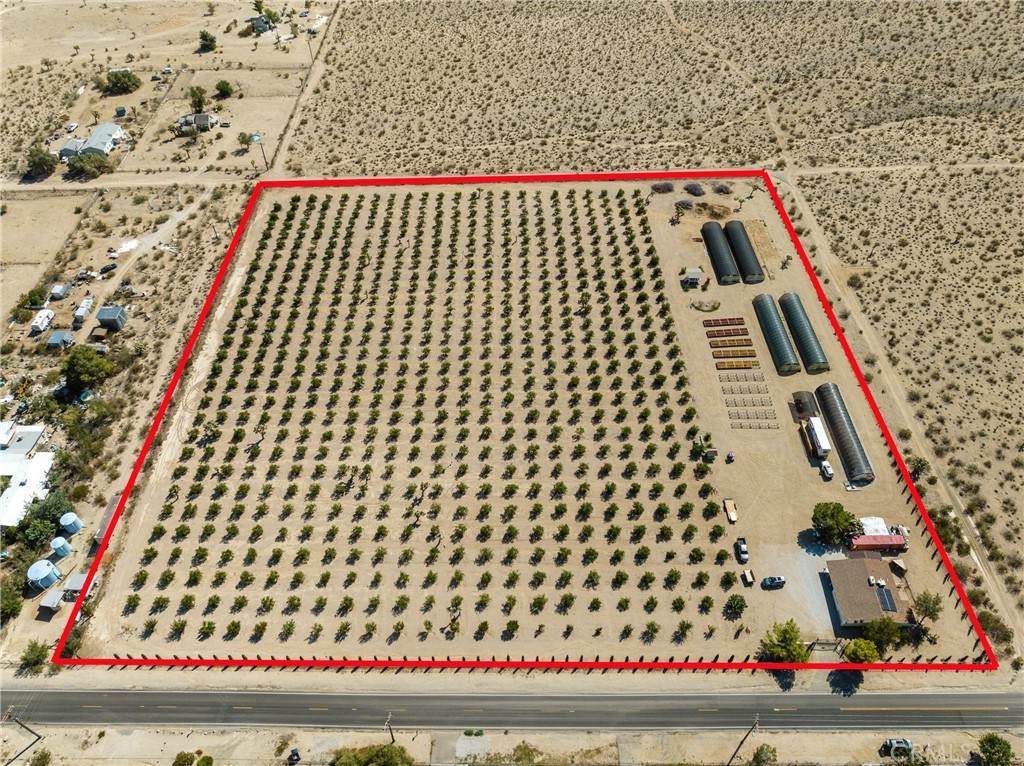 9125 Mesa Road - Photo 1