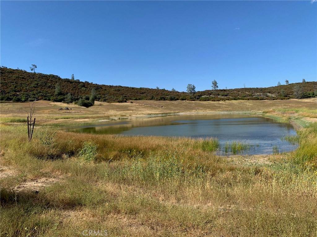 25210 Jerusalem Grade - Photo 1
