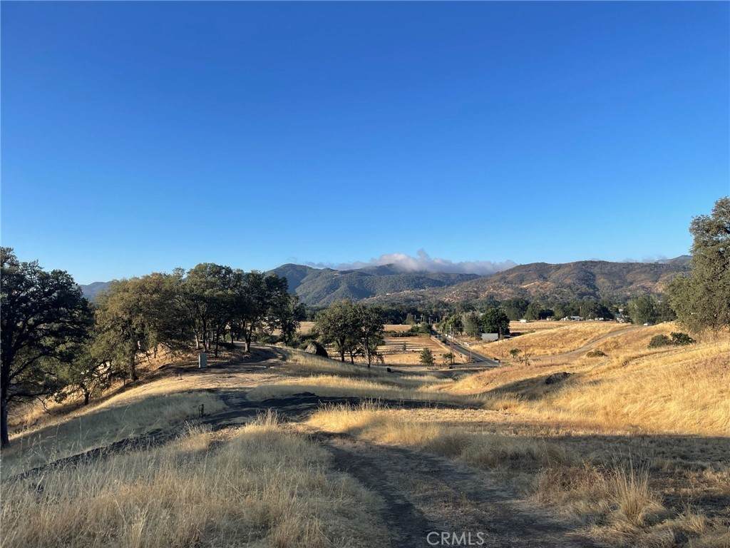 10788 Bachelor Valley Road - Photo 1