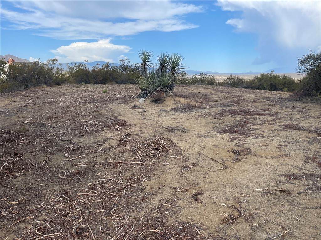 0 Mountain Springs - Photo 1