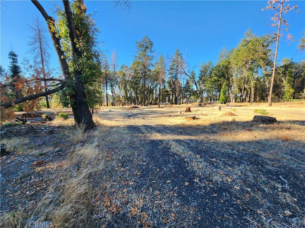 1032 Wagstaff Road - Photo 1