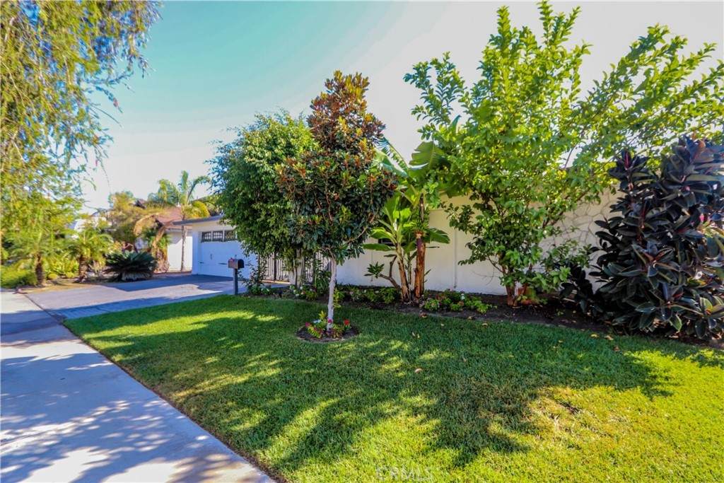 104 Kingsley Street - Photo 1