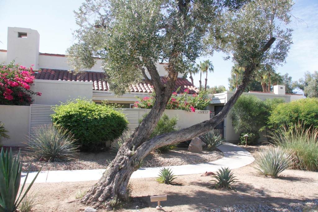 34855 Mission Hills Drive - Photo 1