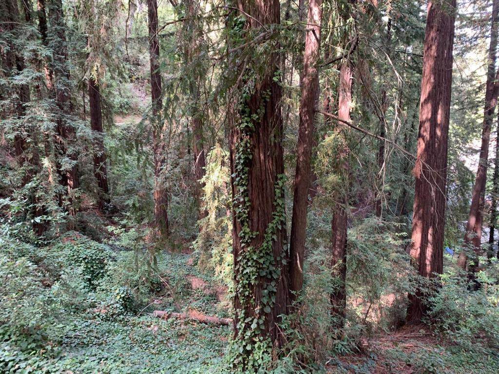 https://bt-photos.global.ssl.fastly.net/socal/orig_boomver_1_370586148-1.jpg