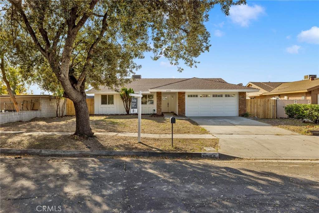 3985 Orchid Drive - Photo 1