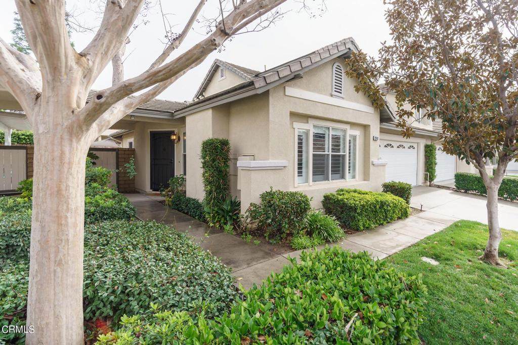 2010 Freesia Avenue - Photo 1