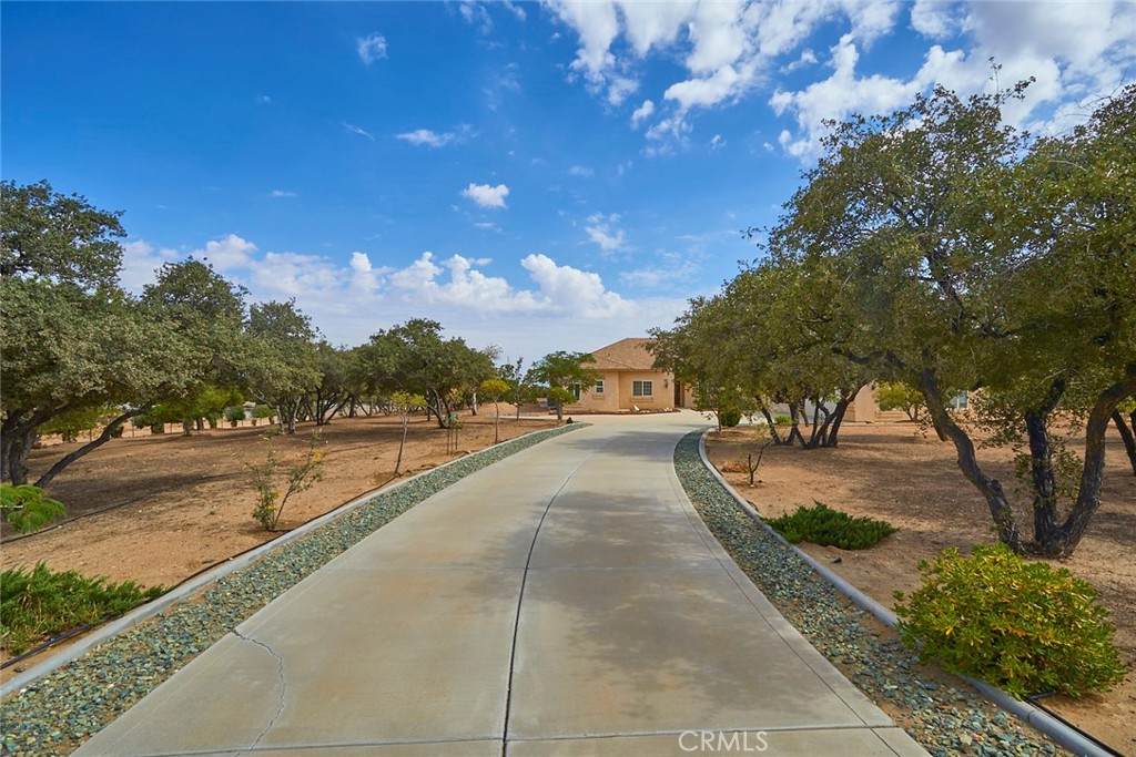 10004 Ranchero Road - Photo 1