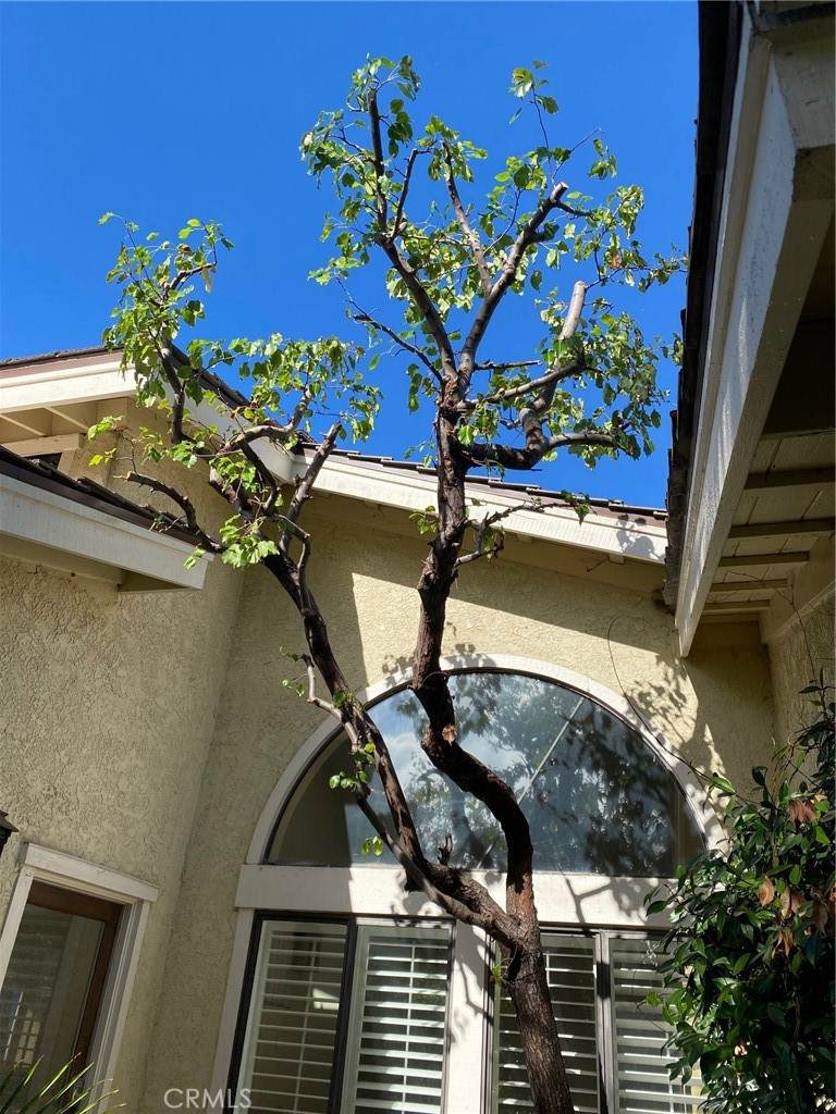 25 Fairway Drive - Photo 1