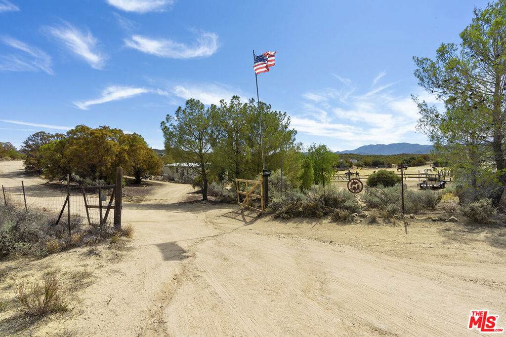 44700 Terwilliger Road - Photo 1