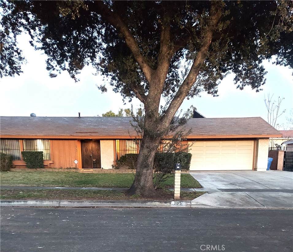 705 Chestnut Avenue - Photo 1
