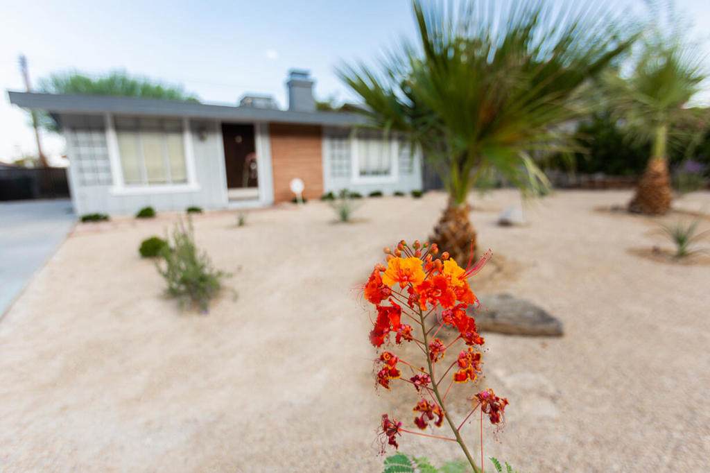 52352 Avenida Juarez - Photo 1