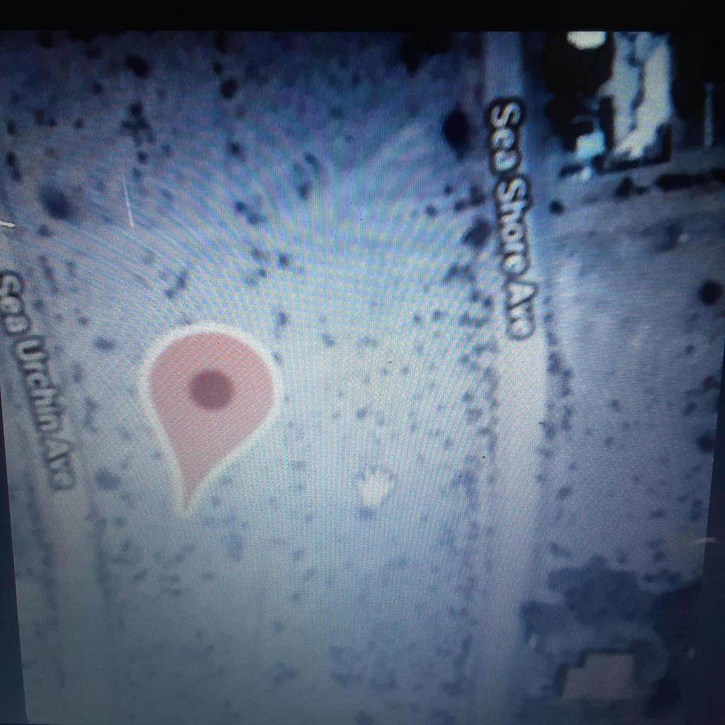 2610 Sea Urchin Ave. Avenue - Photo 1