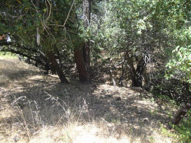 https://bt-photos.global.ssl.fastly.net/socal/orig_boomver_1_371659564-2.jpg