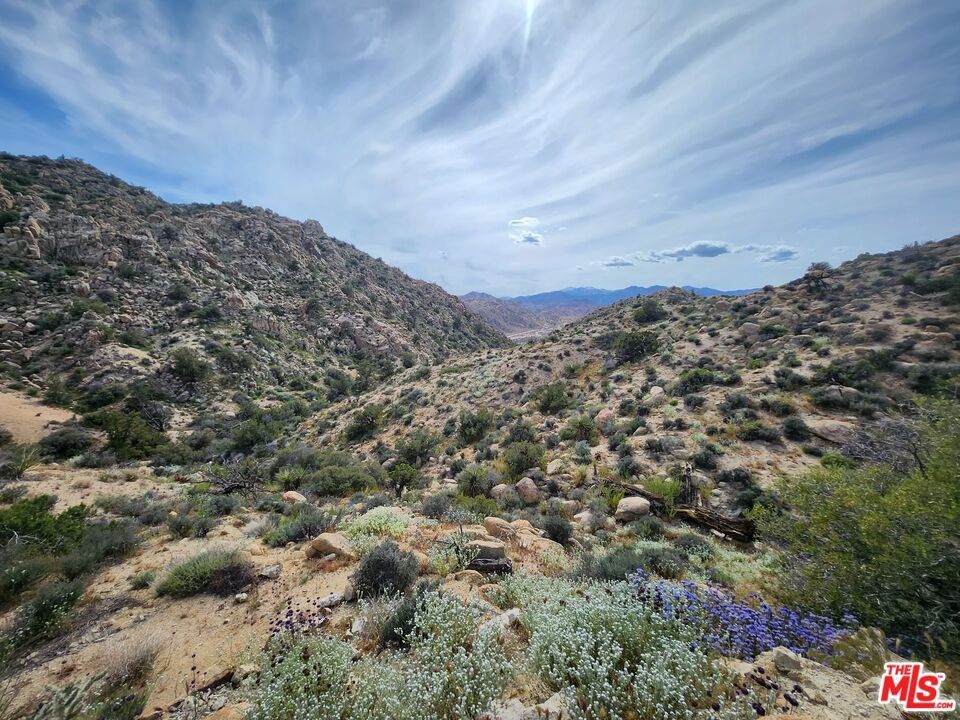 https://bt-photos.global.ssl.fastly.net/socal/orig_boomver_1_371696028-2.jpg