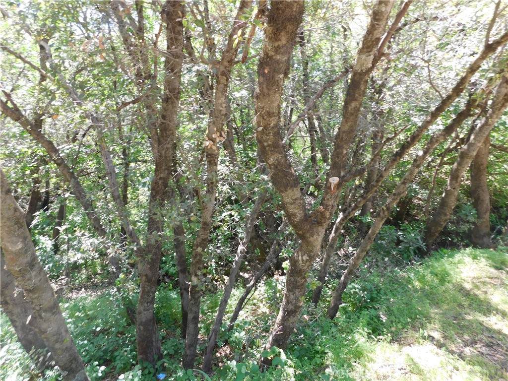 https://bt-photos.global.ssl.fastly.net/socal/orig_boomver_1_371977644-2.jpg