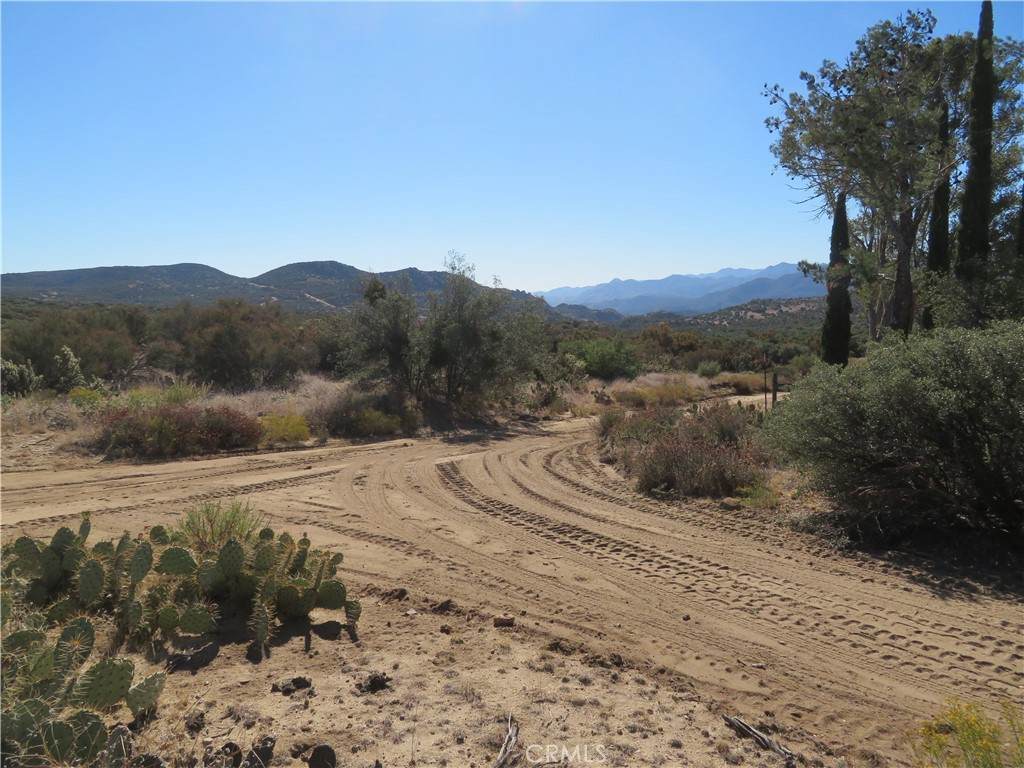 23 Jimson Rd - Photo 1