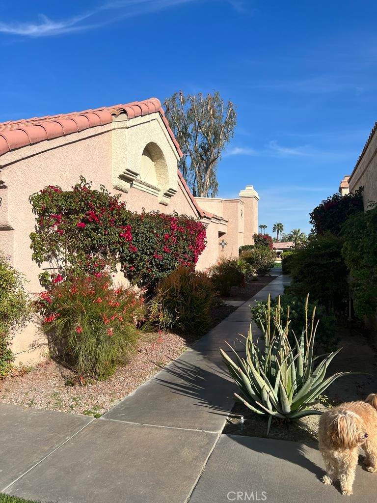https://bt-photos.global.ssl.fastly.net/socal/orig_boomver_1_372144554-2.jpg
