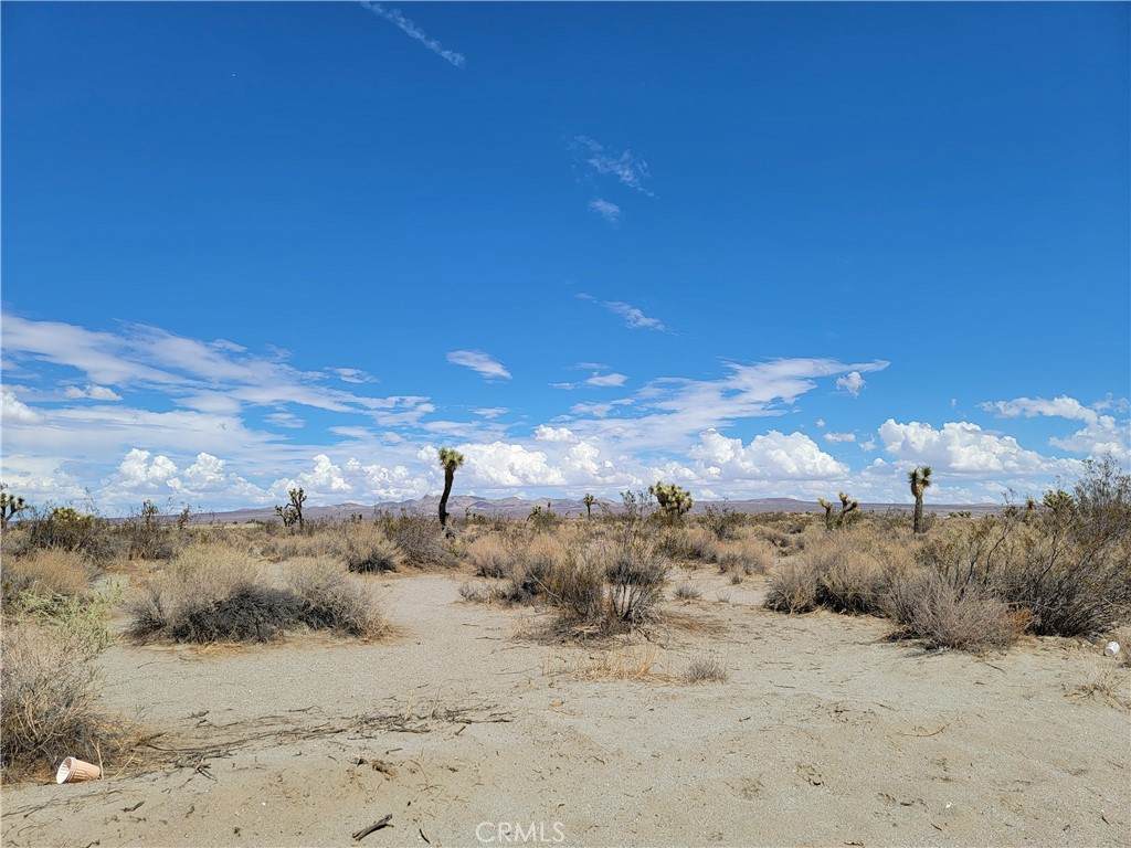 0 Cripple Creek Road - Photo 1