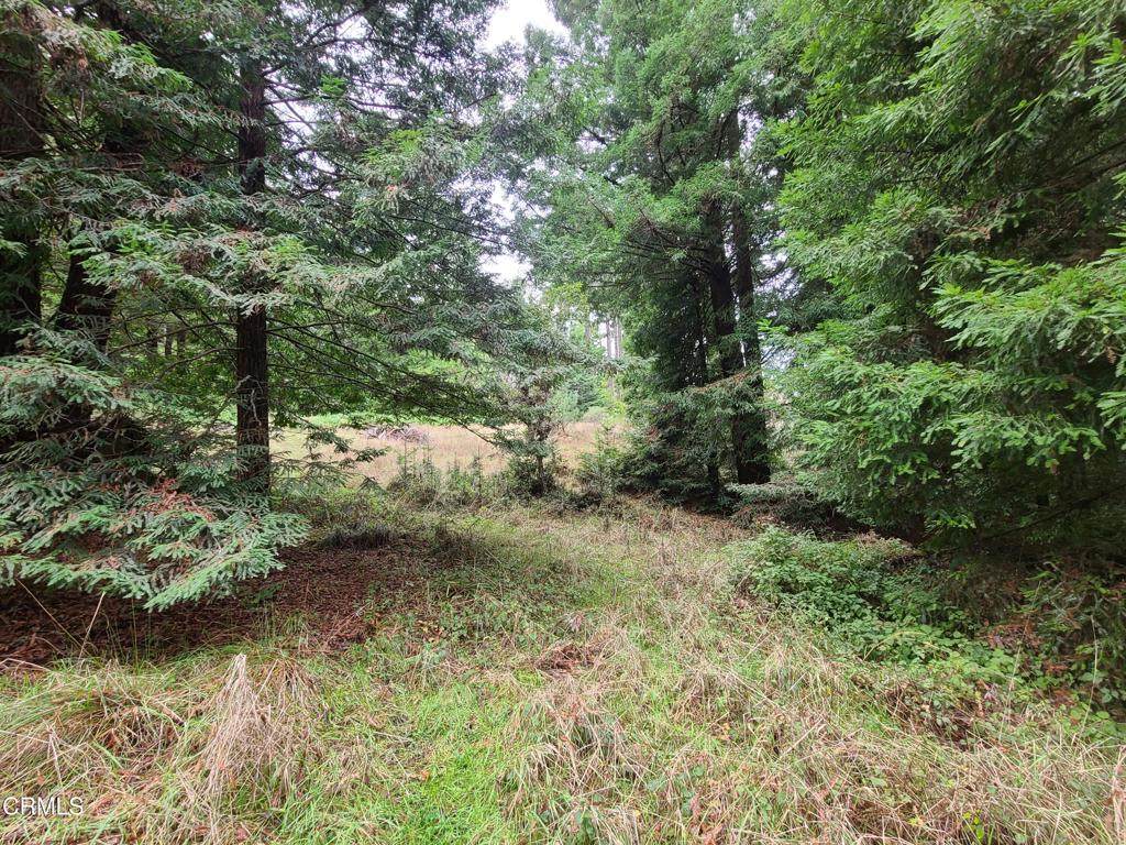 33350 Little Valley Road - Photo 1