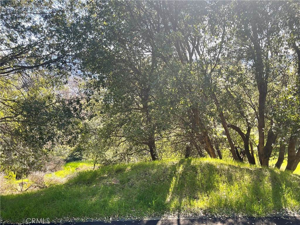 18580 Glenwood Road - Photo 1