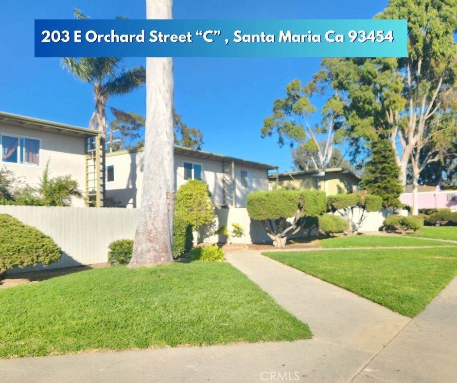 203 Orchard Street - Photo 1
