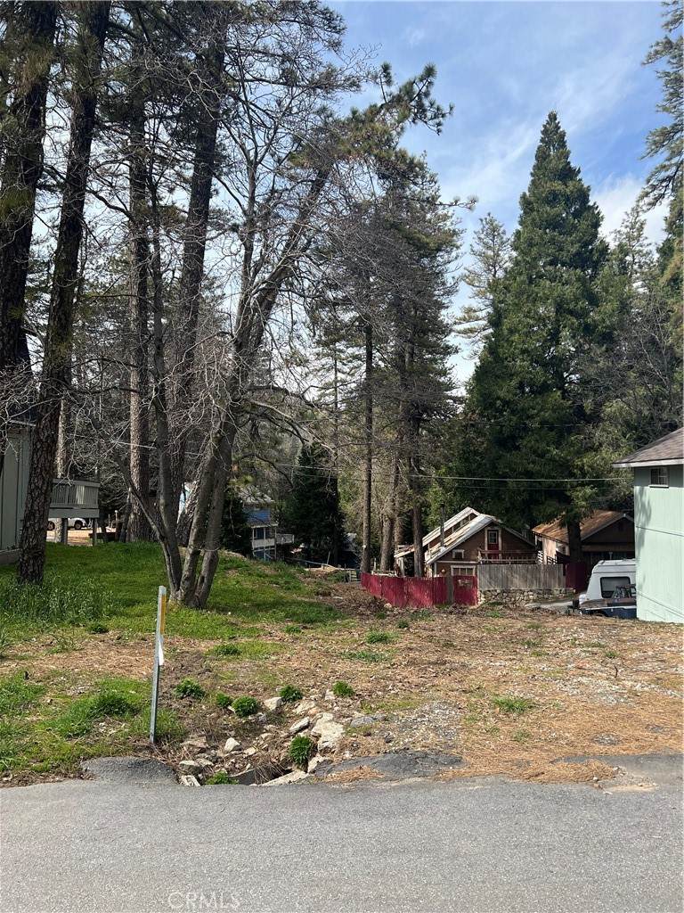 0 Alder Lane - Photo 1