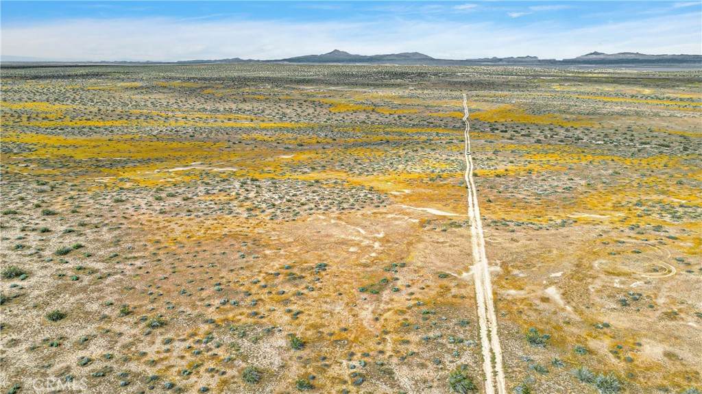 7 Near Powerline Rd - Photo 1