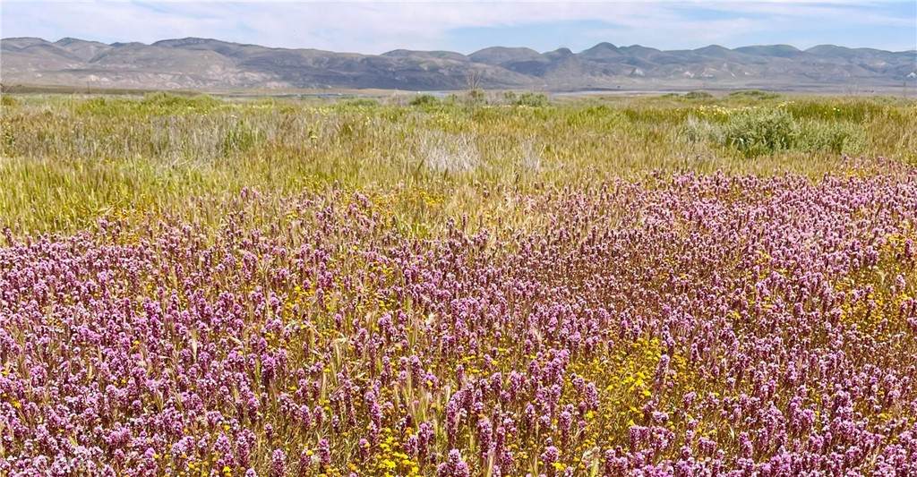 13870 Courtland Road - Photo 1