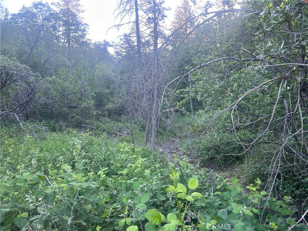 0 Nimshew Road - Photo 1