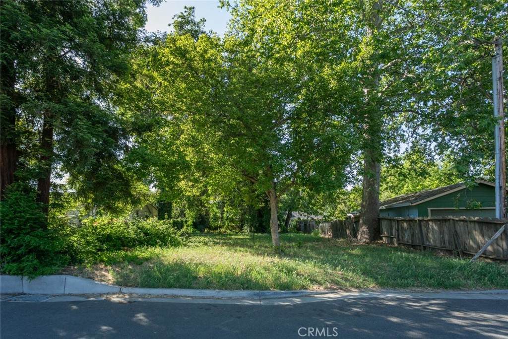 1167 10th Street - Photo 1