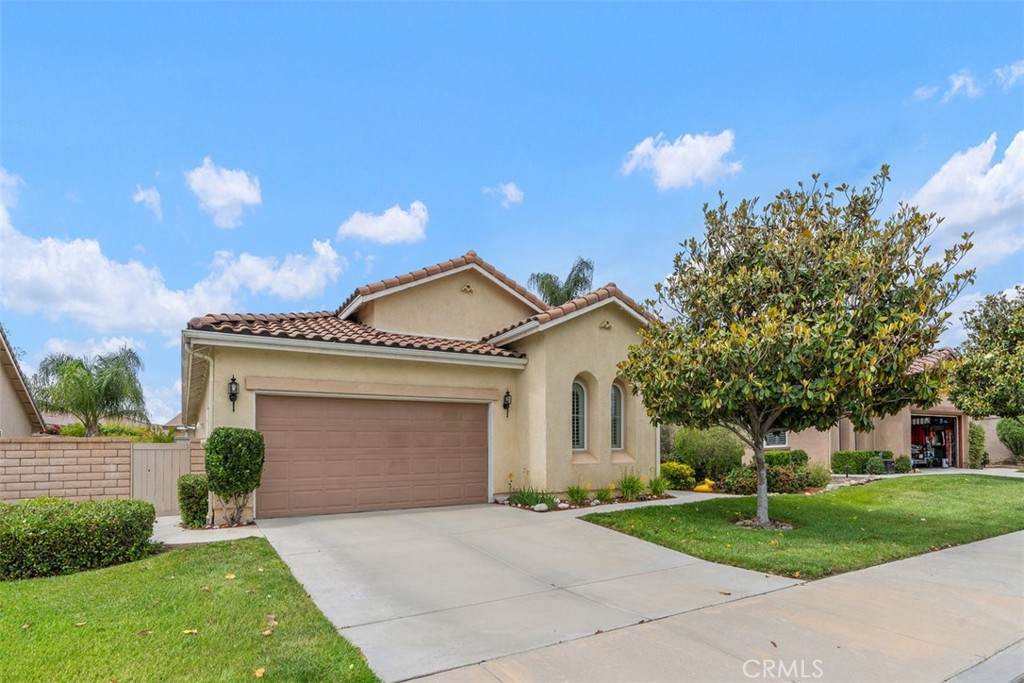 29501 Rainbow Forest Way - Photo 1